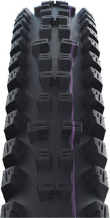 SCHWALBE Tacky Chan Evolution Faltreifen 29x2.40" Super Trail TLE SnakeSkin Addix Soft schwarz