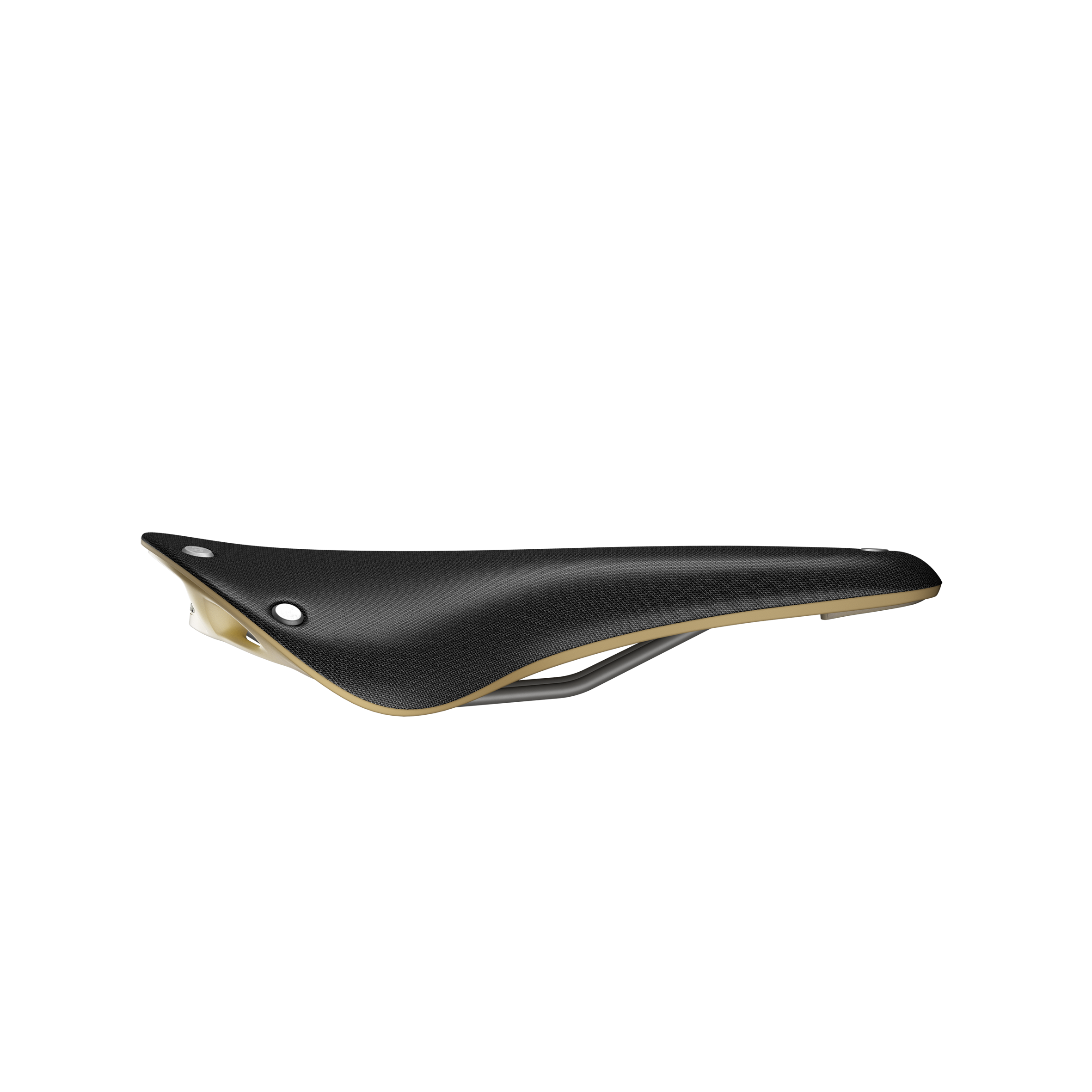 Brooks Cambium C17 Special Sattel schwarz