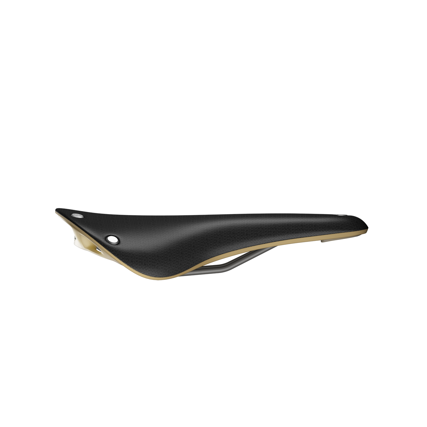 Brooks Cambium C17 Special Sattel schwarz