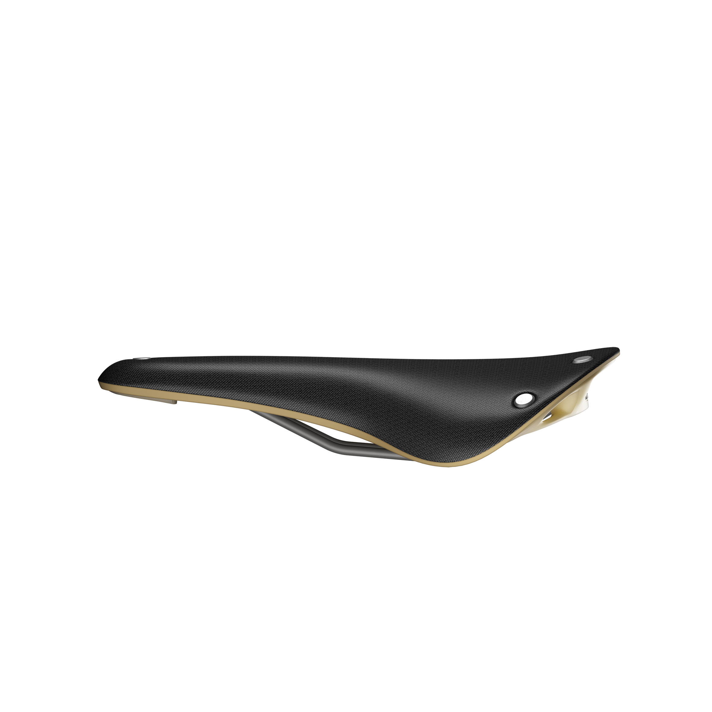 Brooks Cambium C17 Special Sattel schwarz