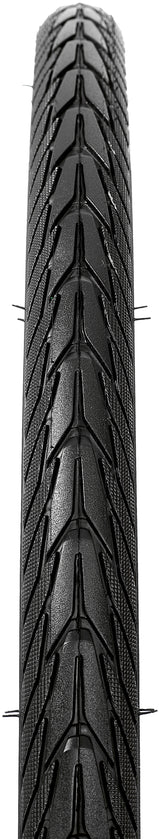 Schwalbe Energizer Plus Performance Drahtreifen E-50 Addix.E Reflex 28x1.40" schwarz